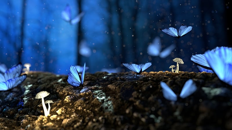 Enchanted Ornaments